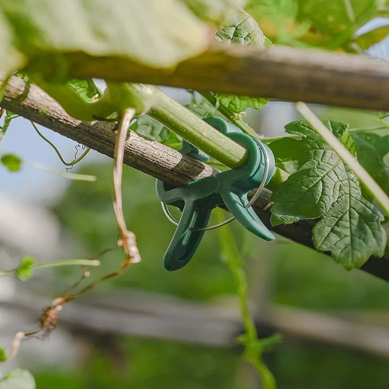 20 Reusable Clips for Supporting Plants Vines  Flowers