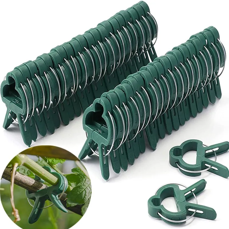 20 Reusable Clips for Supporting Plants Vines  Flowers