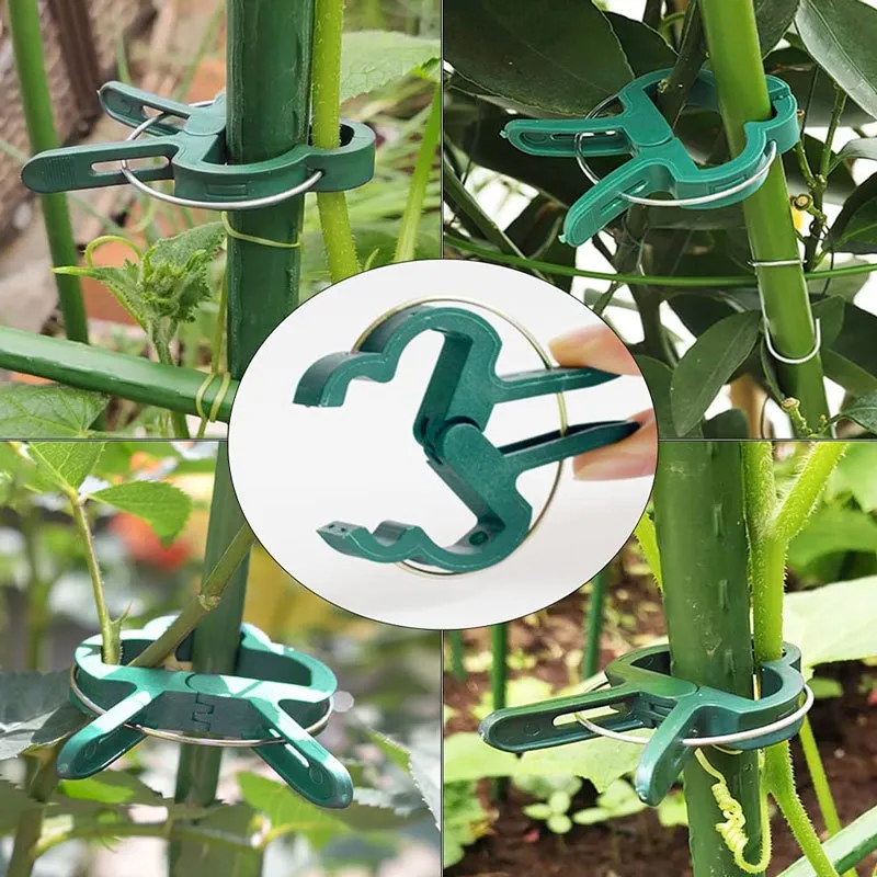 20 Reusable Clips for Supporting Plants Vines  Flowers