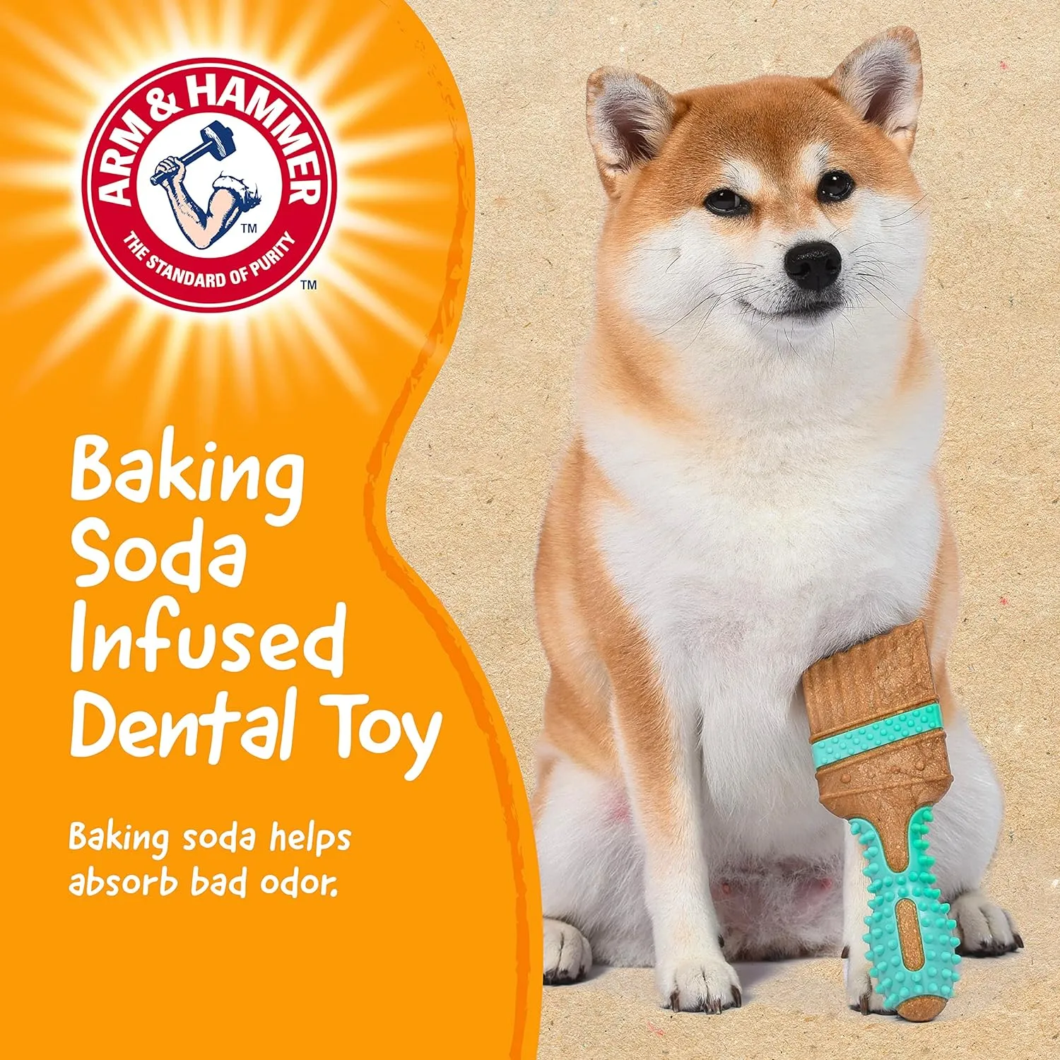 Arm and Hammer Wood Mix Paintbrush Dog Toy