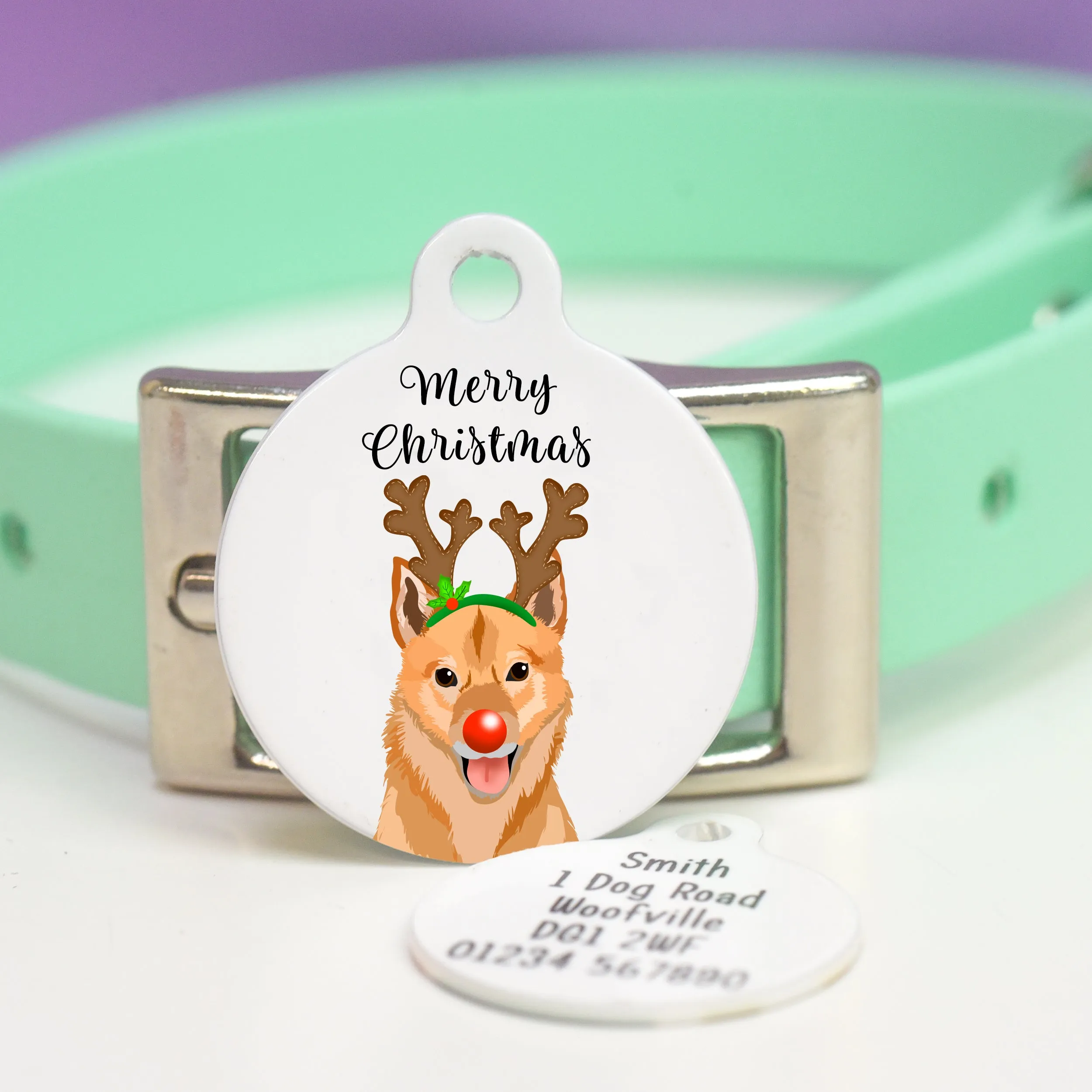 Christmas Personalised Dog ID Tag - Reindeer Antlers & Rednose