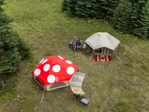 Kinoko Mushroom Tent