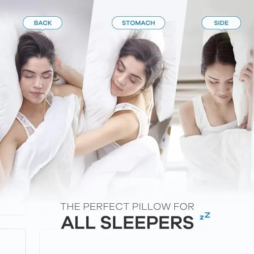 Perfect Sleeper 20x26 Inch Set of 4 Pillows, Soft Density for Stomach and Back Sleepers, Standard, Pack of 4, White, 51 x 66 cm - Plain White