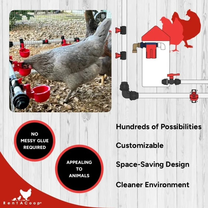 RentACoop Secure Non-Adhesive PVC (S.N.A.P) Watering System Starter Kit for Chickens, Quail, and Poultry