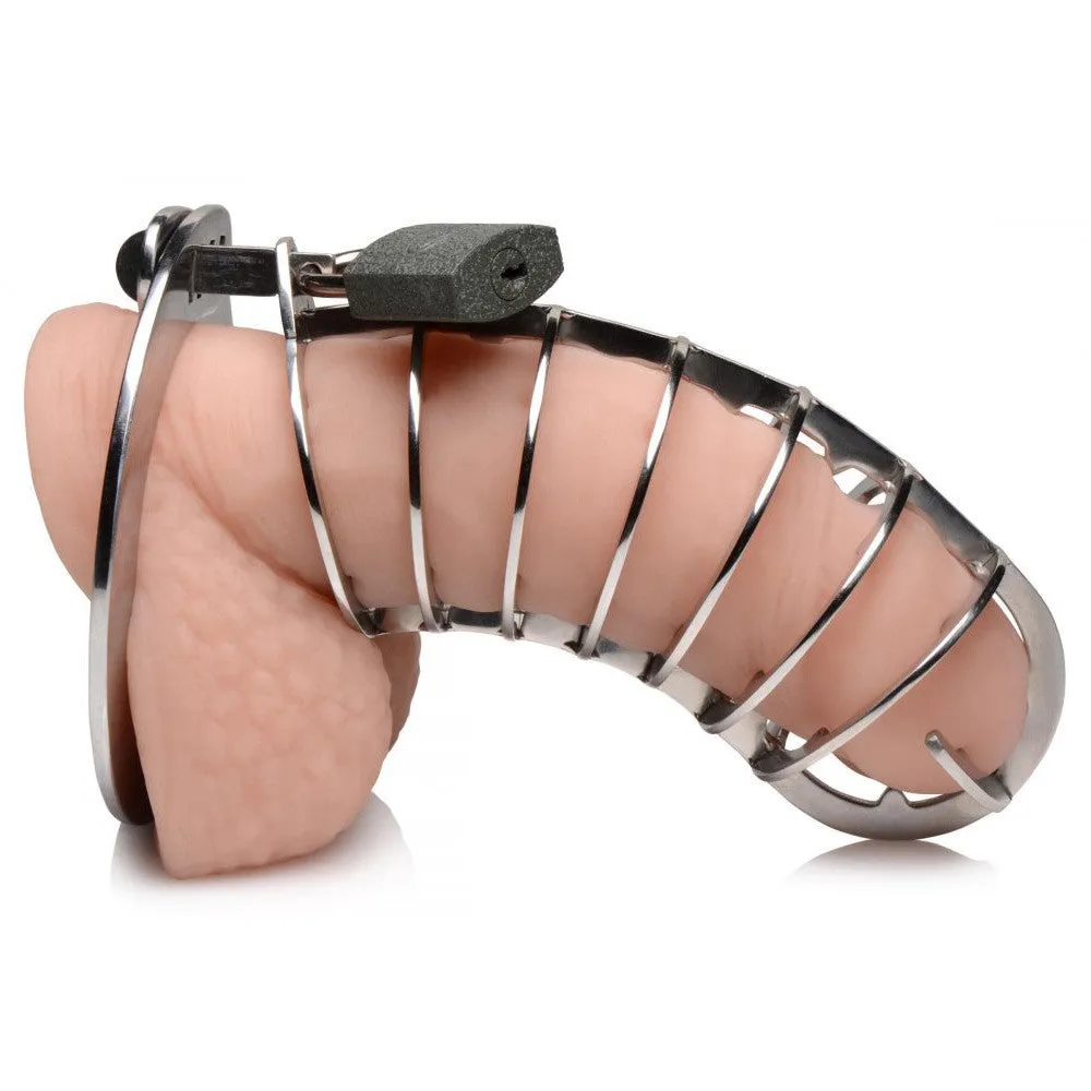 Stainless Steel Spiked Chastity Cage