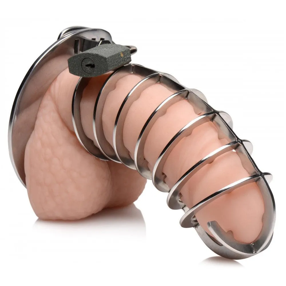 Stainless Steel Spiked Chastity Cage