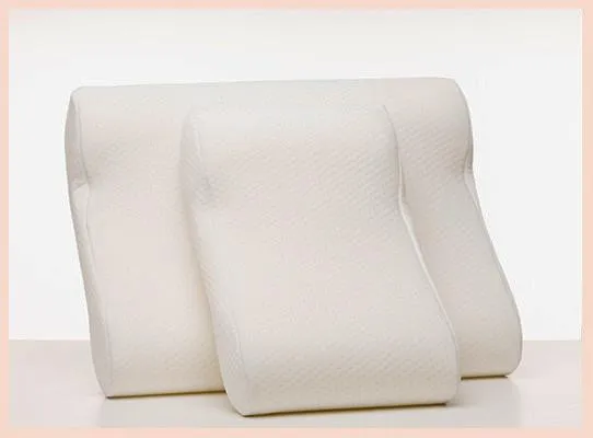 The Normalizer Posture Pillow II